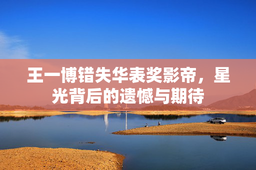 王一博错失华表奖影帝，星光背后的遗憾与期待