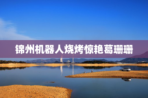 锦州机器人烧烤惊艳葛珊珊