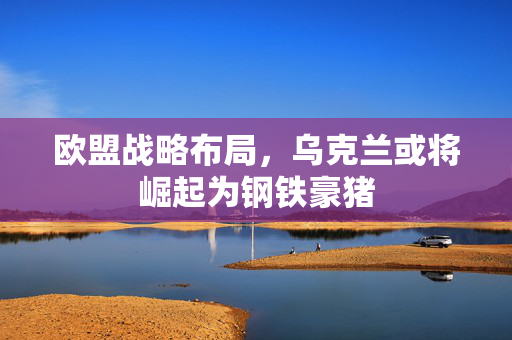 欧盟战略布局，乌克兰或将崛起为钢铁豪猪