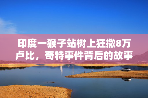 印度一猴子站树上狂撒8万卢比，奇特事件背后的故事与思考