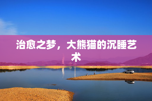 治愈之梦，大熊猫的沉睡艺术