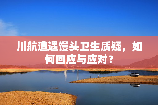 川航遭遇馒头卫生质疑，如何回应与应对？
