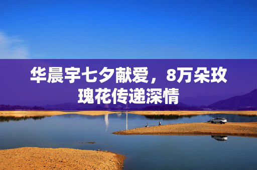 华晨宇七夕献爱，8万朵玫瑰花传递深情