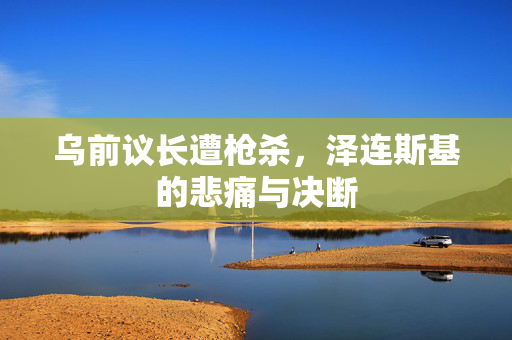 乌前议长遭枪杀，泽连斯基的悲痛与决断