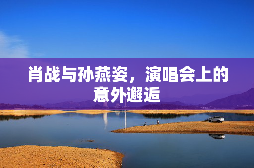 肖战与孙燕姿，演唱会上的意外邂逅