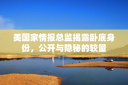 美国家情报总监揭露卧底身份，公开与隐秘的较量