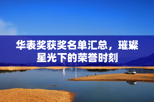 华表奖获奖名单汇总，璀璨星光下的荣誉时刻