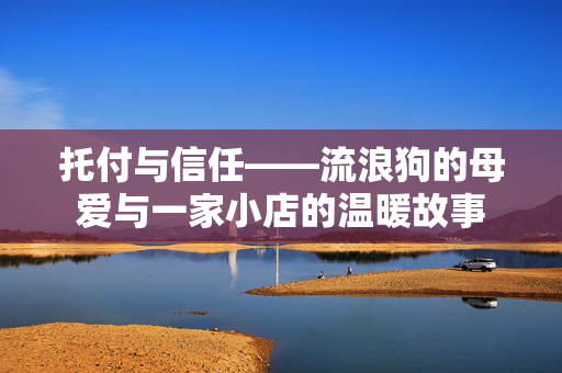 托付与信任——流浪狗的母爱与一家小店的温暖故事