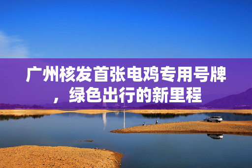 广州核发首张电鸡专用号牌，绿色出行的新里程