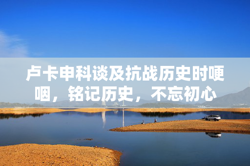 卢卡申科谈及抗战历史时哽咽，铭记历史，不忘初心