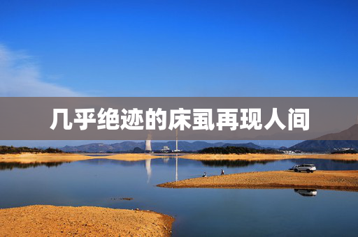 几乎绝迹的床虱再现人间