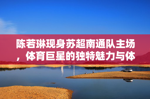 陈若琳现身苏超南通队主场，体育巨星的独特魅力与体育精神的传递