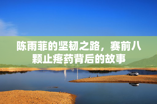 陈雨菲的坚韧之路，赛前八颗止疼药背后的故事
