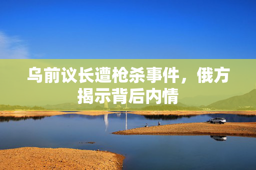 乌前议长遭枪杀事件，俄方揭示背后内情
