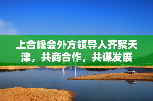上合峰会外方领导人齐聚天津，共商合作，共谋发展