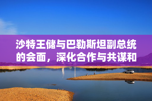 沙特王储与巴勒斯坦副总统的会面，深化合作与共谋和平