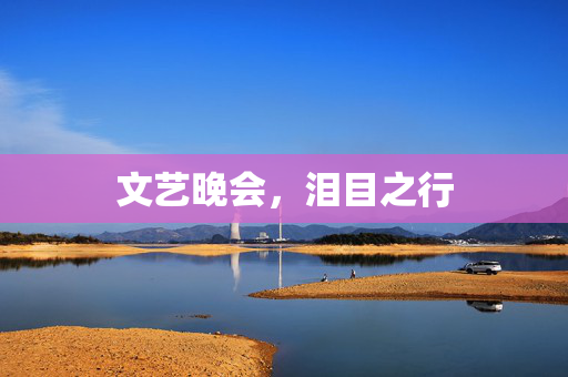 文艺晚会，泪目之行
