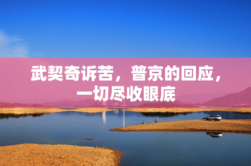 武契奇诉苦，普京的回应，一切尽收眼底