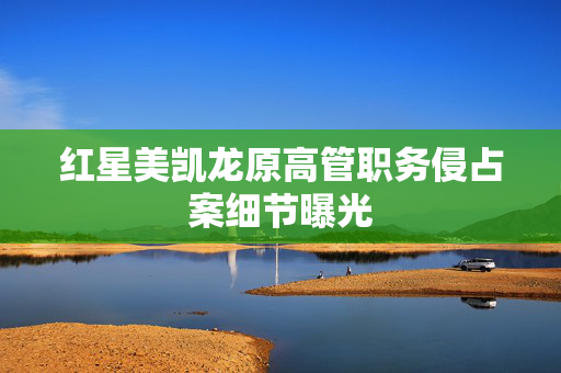 红星美凯龙原高管职务侵占案细节曝光