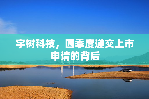 宇树科技，四季度递交上市申请的背后