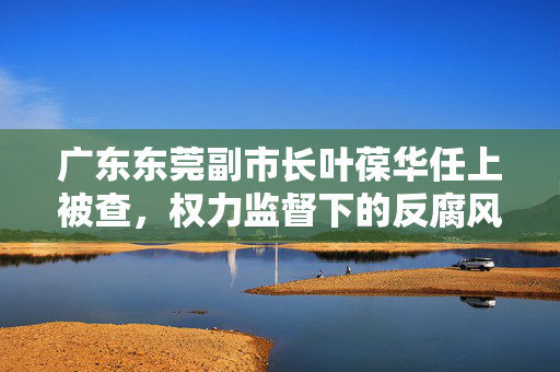 广东东莞副市长叶葆华任上被查，权力监督下的反腐风暴