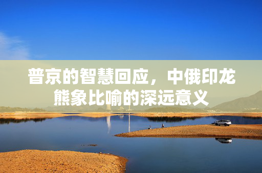 普京的智慧回应，中俄印龙熊象比喻的深远意义