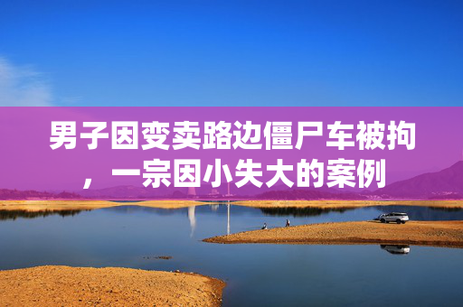 男子因变卖路边僵尸车被拘，一宗因小失大的案例