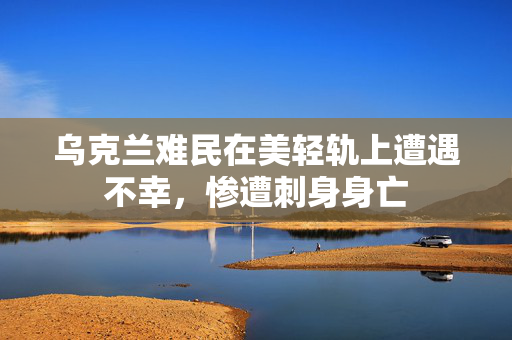 乌克兰难民在美轻轨上遭遇不幸，惨遭刺身身亡