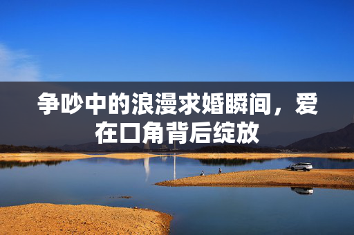 争吵中的浪漫求婚瞬间，爱在口角背后绽放