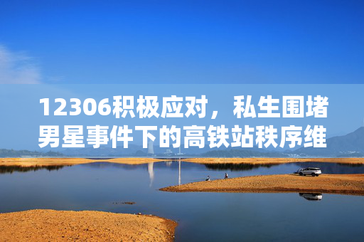 12306积极应对，私生围堵男星事件下的高铁站秩序维护