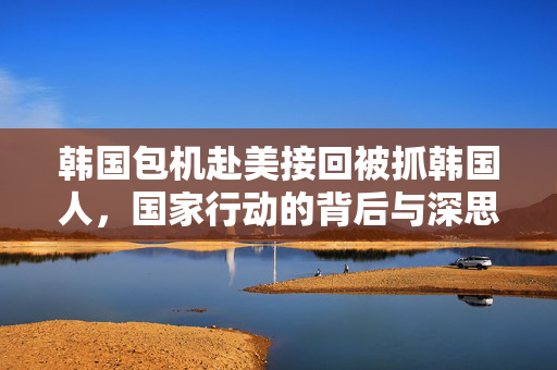 韩国包机赴美接回被抓韩国人，国家行动的背后与深思