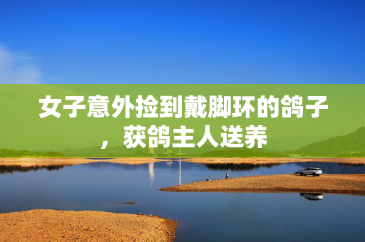 女子意外捡到戴脚环的鸽子，获鸽主人送养