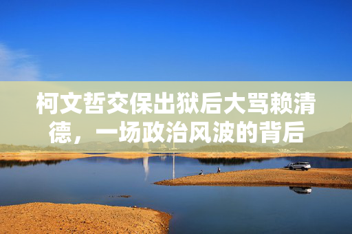 柯文哲交保出狱后大骂赖清德，一场政治风波的背后