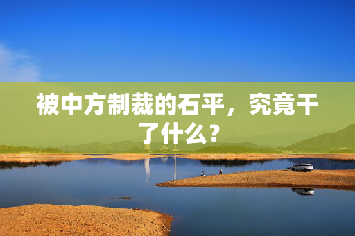 被中方制裁的石平，究竟干了什么？