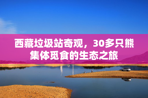 西藏垃圾站奇观，30多只熊集体觅食的生态之旅