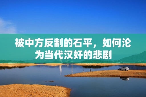 被中方反制的石平，如何沦为当代汉奸的悲剧