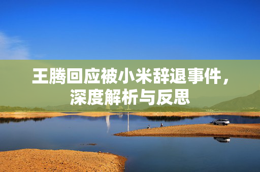 王腾回应被小米辞退事件，深度解析与反思