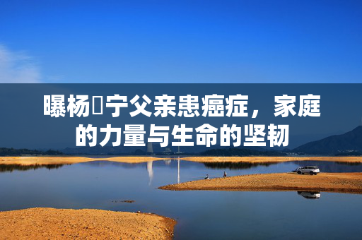 曝杨祐宁父亲患癌症，家庭的力量与生命的坚韧