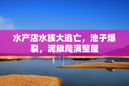 水产店水族大逃亡，池子爆裂，泥鳅爬满整屋