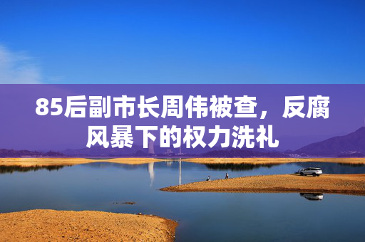 85后副市长周伟被查，反腐风暴下的权力洗礼