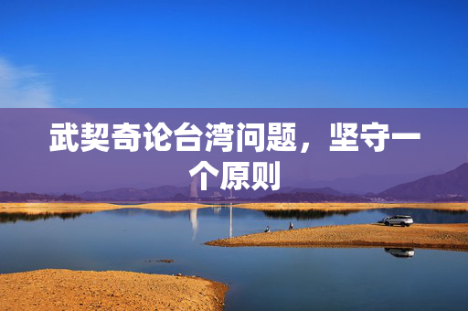 武契奇论台湾问题，坚守一个原则