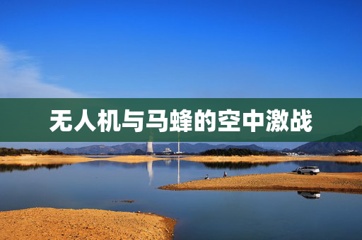 无人机与马蜂的空中激战