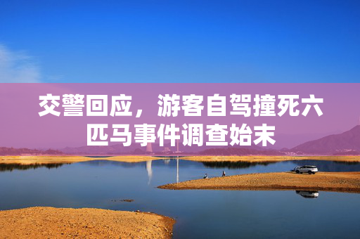 交警回应，游客自驾撞死六匹马事件调查始末