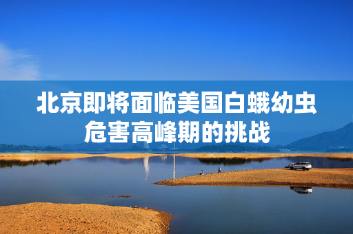 北京即将面临美国白蛾幼虫危害高峰期的挑战