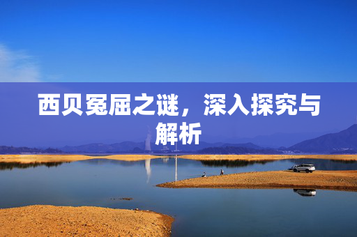 西贝冤屈之谜，深入探究与解析