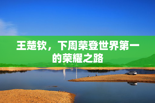 王楚钦，下周荣登世界第一的荣耀之路
