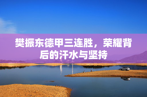 樊振东德甲三连胜，荣耀背后的汗水与坚持