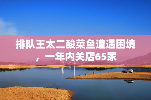 排队王太二酸菜鱼遭遇困境，一年内关店65家