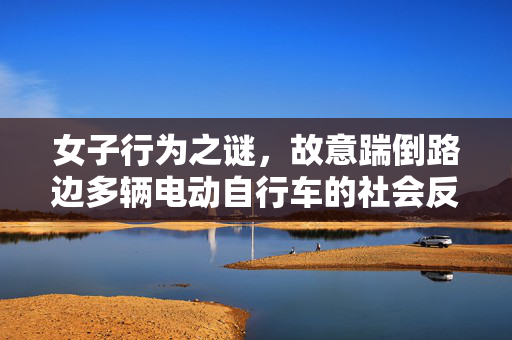 女子行为之谜，故意踹倒路边多辆电动自行车的社会反思