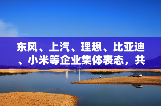 东风、上汽、理想、比亚迪、小米等企业集体表态，共筑智能出行新时代